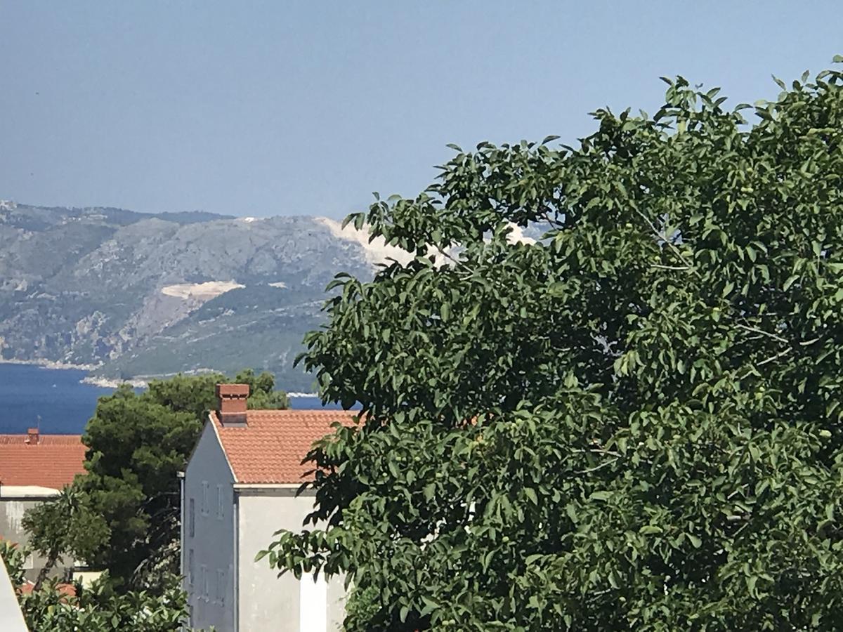 Jelena 1 Apartman Cavtat Kültér fotó